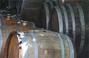 French oak wine barrels