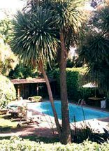 Novato enjoys a warm sunny climate