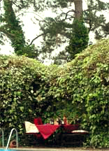 Poolside table over looking vineyard